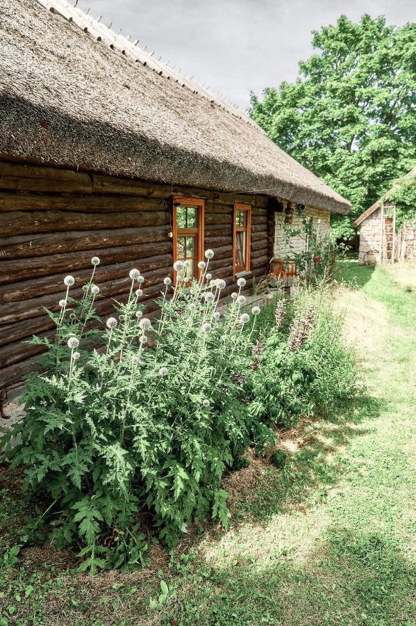 Matsi Cottage Igakula Bagian luar foto